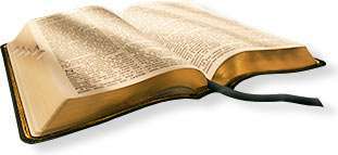 Life book 1